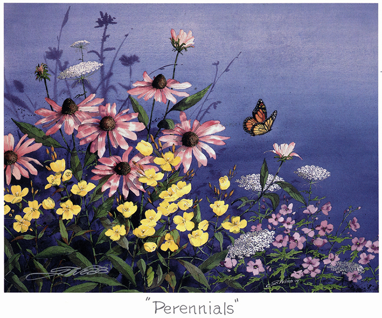 Perennials - Smoky Mountain Art