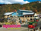 ripley's aquarium