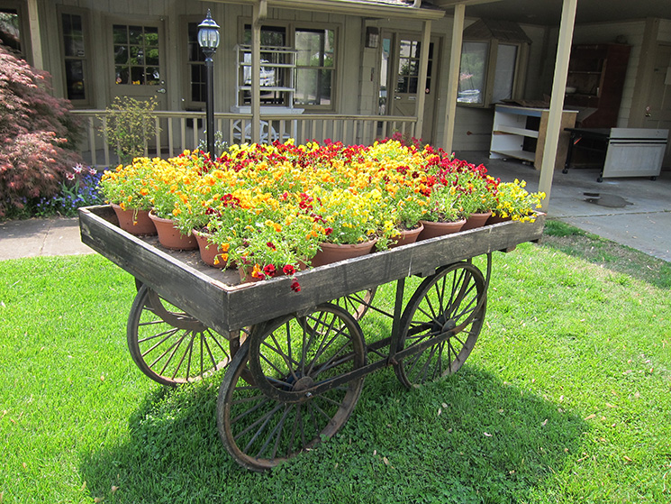 flower cart