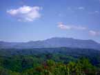 view from pigeon forge cabin