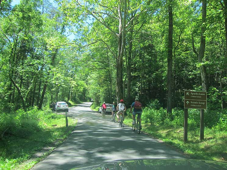 cades cove biking