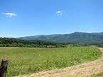 cades cove meadow