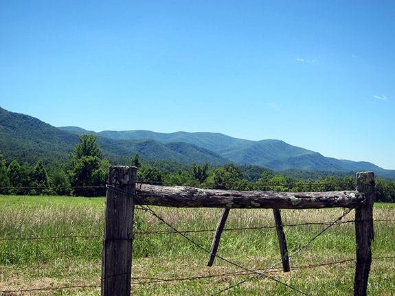 cades cove meadow