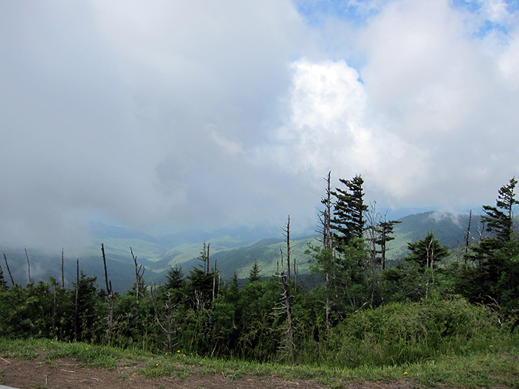 clingmans dome mist