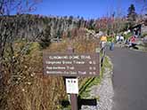 clingmans dome trail