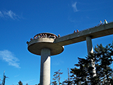 clingmans dome