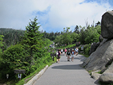 clingman's dome vista