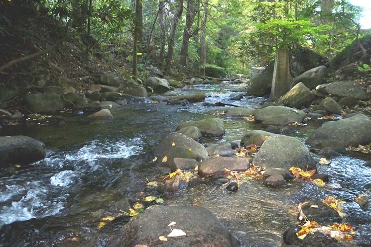 gatlinburg river