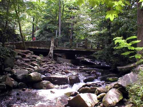 Mynatt Park Gatlinburg