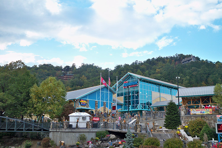 Ripley's Aquarium of the Smokies