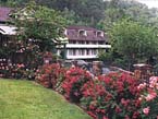 gatlinburg inn