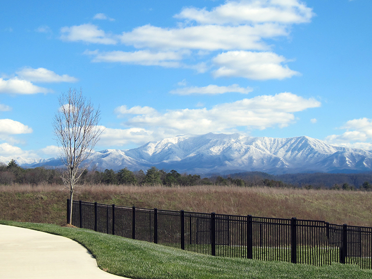 snow capped mountains